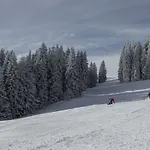 Zunfthaus Zur Rebleuten
