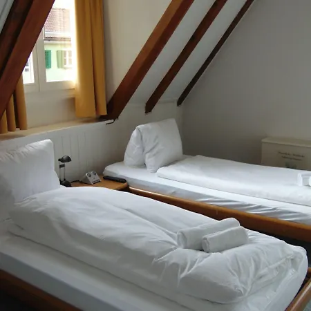 Zunfthaus Zur Rebleuten מלון