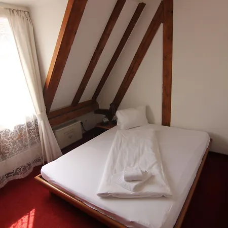 מלון Zunfthaus Zur Rebleuten כור