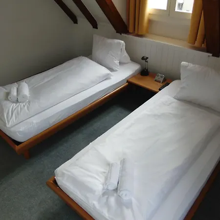 Zunfthaus Zur Rebleuten تشر