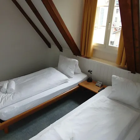 فندق Zunfthaus Zur Rebleuten 2*