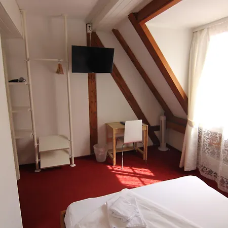 فندق Zunfthaus Zur Rebleuten 2*