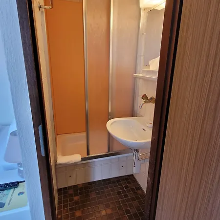 Zunfthaus Zur Rebleuten מלון