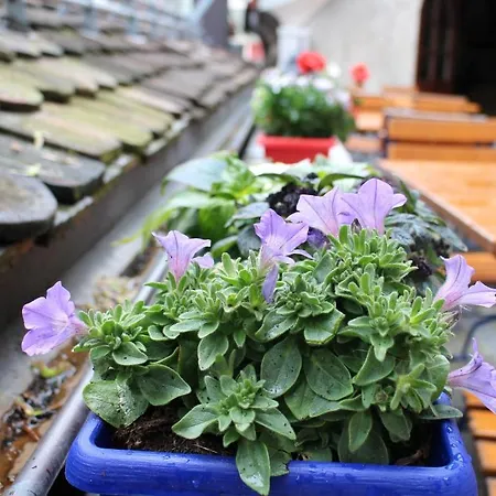 Zunfthaus Zur Rebleuten 2*