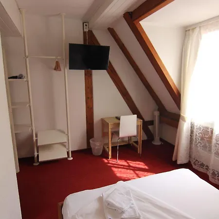 Hotel Zunfthaus Zur Rebleuten 2*