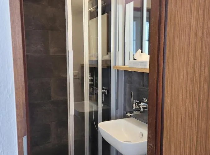 Otel Zunfthaus Zur Rebleuten 2*