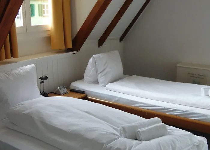 Zunfthaus Zur Rebleuten Hotel