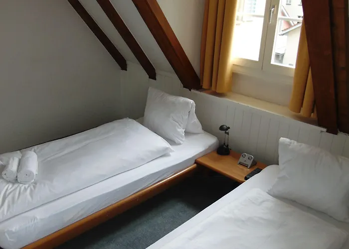 Otel Zunfthaus Zur Rebleuten 2*