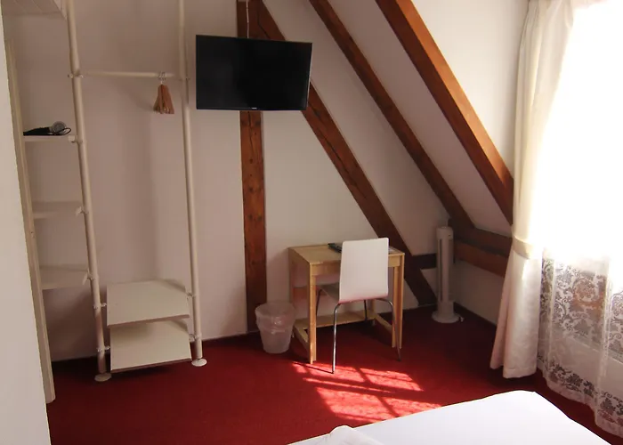 Otel Zunfthaus Zur Rebleuten 2*