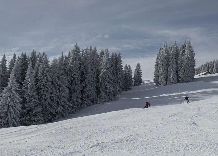Zunfthaus Zur Rebleuten