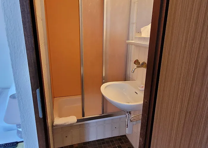 Zunfthaus Zur Rebleuten Hotel