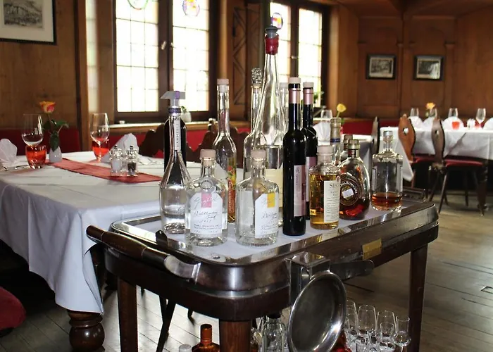 Zunfthaus Zur Rebleuten Otel