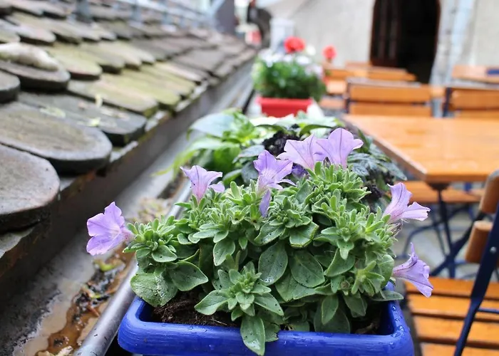 Zunfthaus Zur Rebleuten 2*