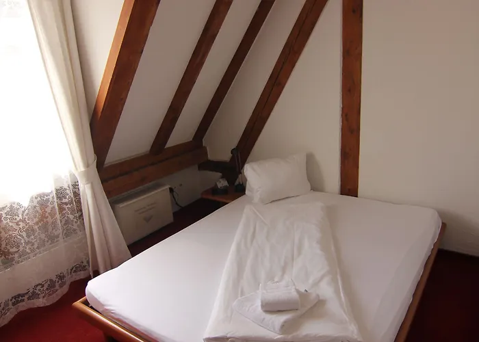 فندق Zunfthaus Zur Rebleuten تشر